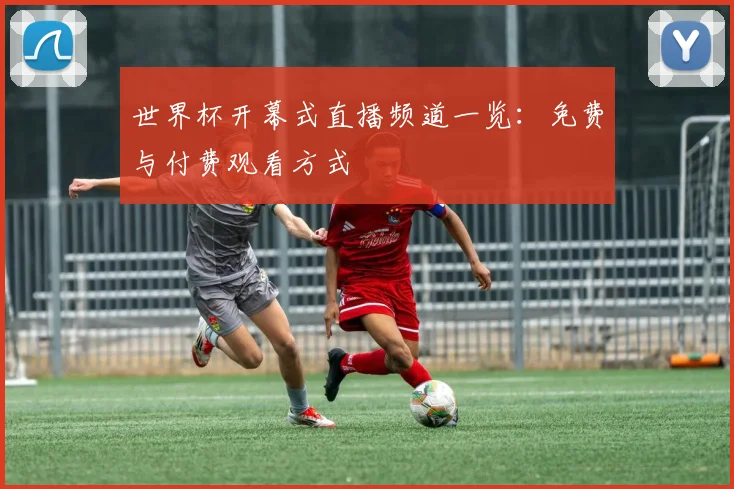 世界杯开幕式直播频道一览：免费与付费观看方式