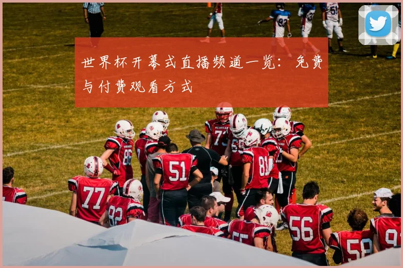 世界杯开幕式直播频道一览：免费与付费观看方式